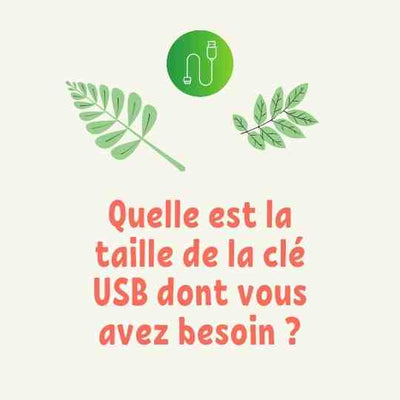 Quelle est la taille de la clé USB dont vous avez besoin ?
